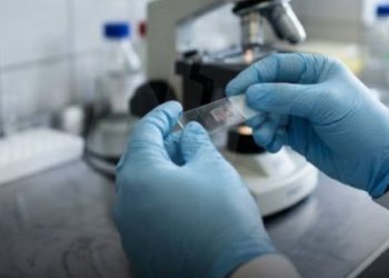 Hantavirus: aclaran que el caso detectado en Formosa corresponde al 2025