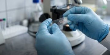 Hantavirus: aclaran que el caso detectado en Formosa corresponde al 2025