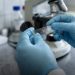 Hantavirus: aclaran que el caso detectado en Formosa corresponde al 2025
