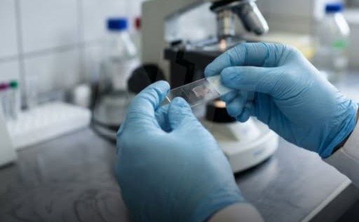 Hantavirus: aclaran que el caso detectado en Formosa corresponde al 2025