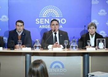 Presentaron en el Senado el proyecto de intervención federal de Formosa