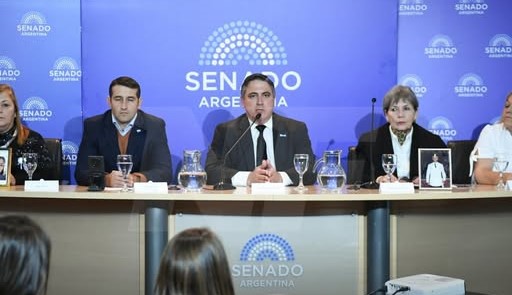 Presentaron en el Senado el proyecto de intervención federal de Formosa