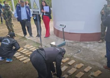 Destruyeron más de 200 kilos de droga secuestrada en Formosa