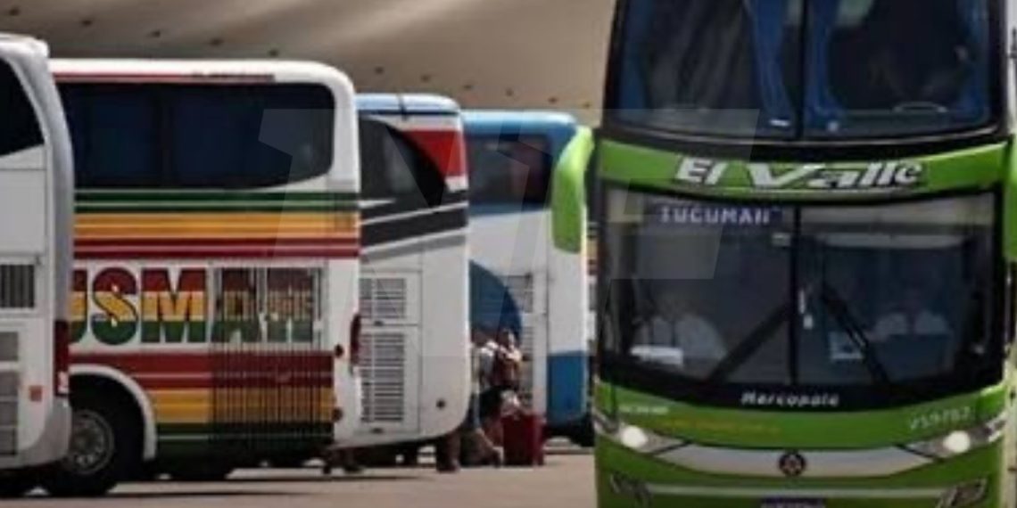El Gobierno eliminó subsidios a pasajes por discapacidad
