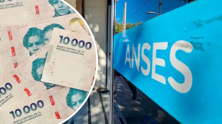 ANSES: el paso a paso para consultar el estado de tus asignaciones